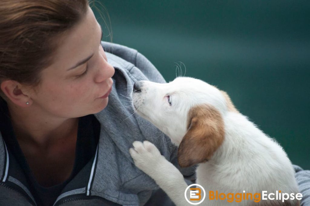 10 Most Profitable Niches for Affiliate Sites: 2026 Edition 7 Pet Care Niche